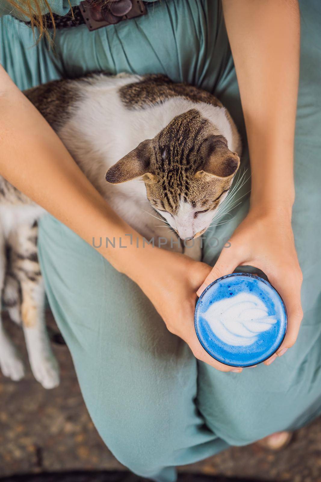 Young woman having a mediterranean breakfast seated at sofa and with her cat and drinks Trendy drink: Blue latte. Hot butterfly pea latte or blue spirulina latte by galitskaya