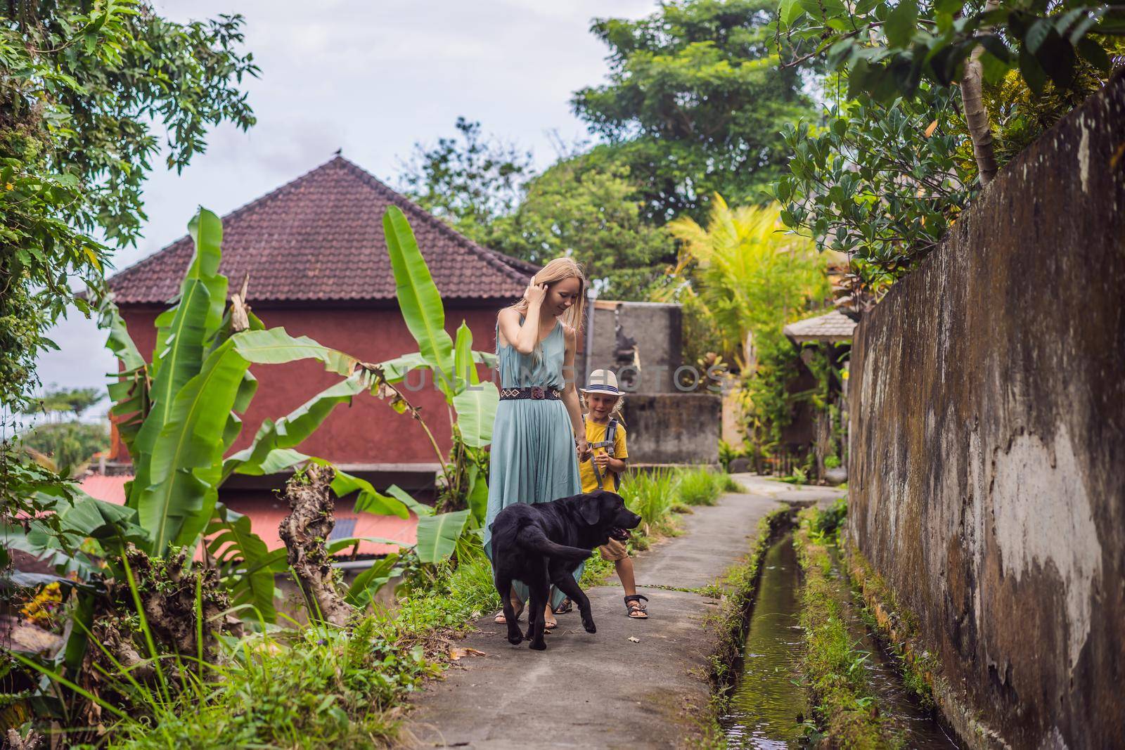 Bali dog. Mother and son tourists in Bali walks along the narrow cozy streets of Ubud. Bali is a popular tourist destination. Travel to Bali concept. Traveling with children concept.