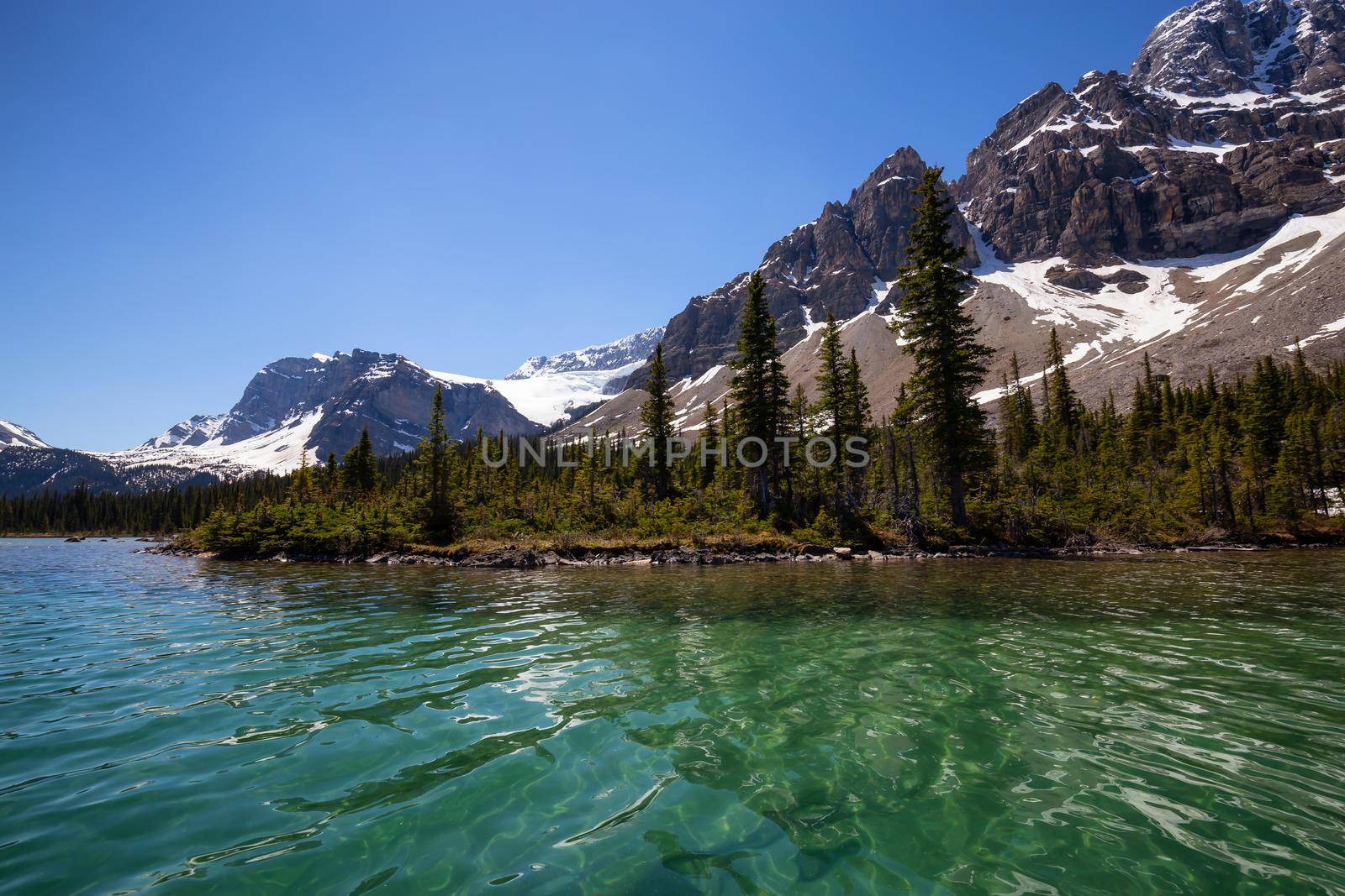 Glacier lake during a vibrant sunny summer day. Taken in Bow Lake, Banff National Park, Alberta, Canada.