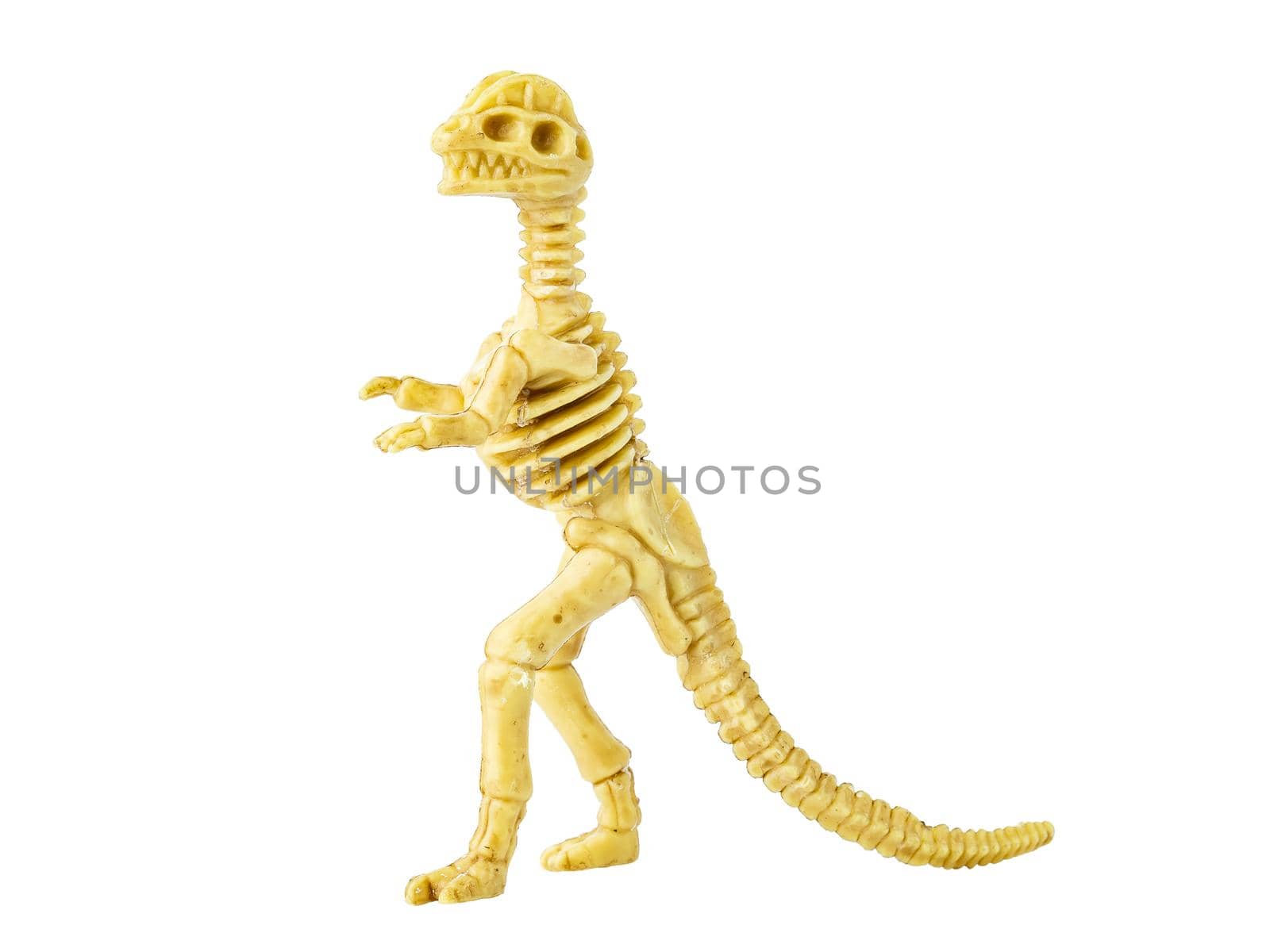 Baby Dinosaur skeleton plastic model toy isolated on white. 