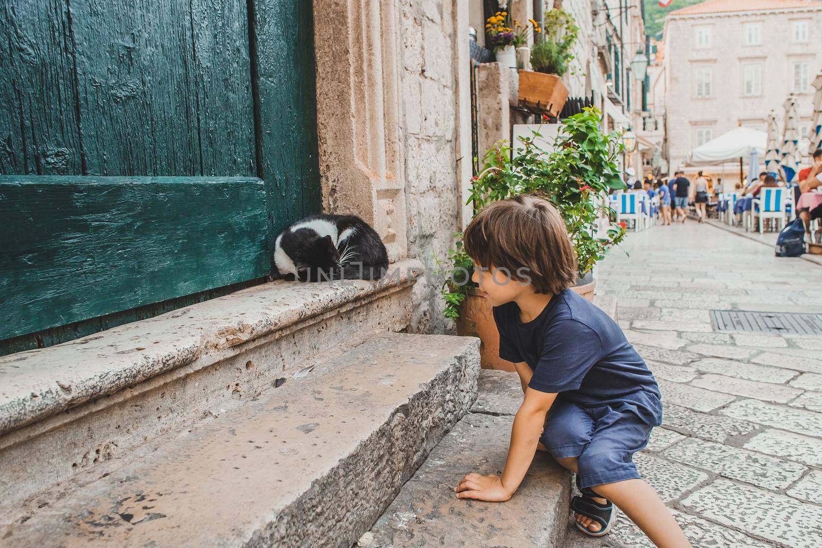 Street cat and a boy in the old town of Dubrovnik by Syvanych