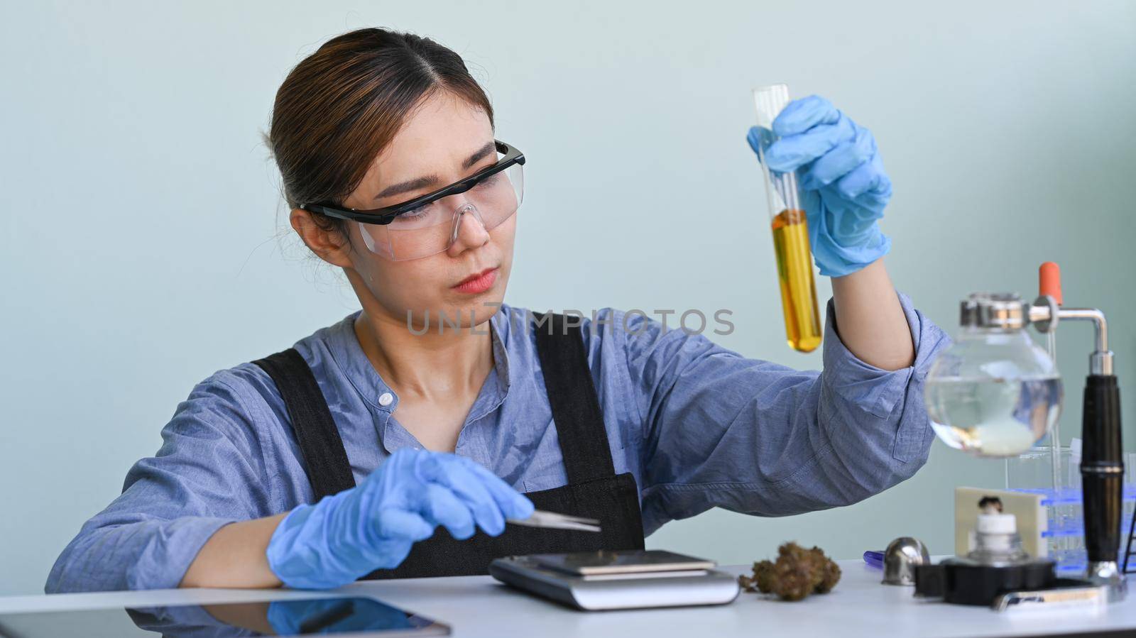 Scientist holding a test tube of cannabis oil. Herbal alternative medicine, cbd oil, pharmaceutical industry concept.