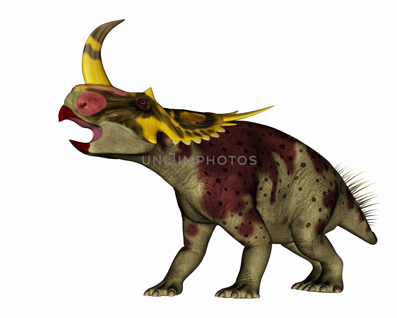 Rubeosaurus dinosaur standing and roaring - 3D render by Elenaphotos21