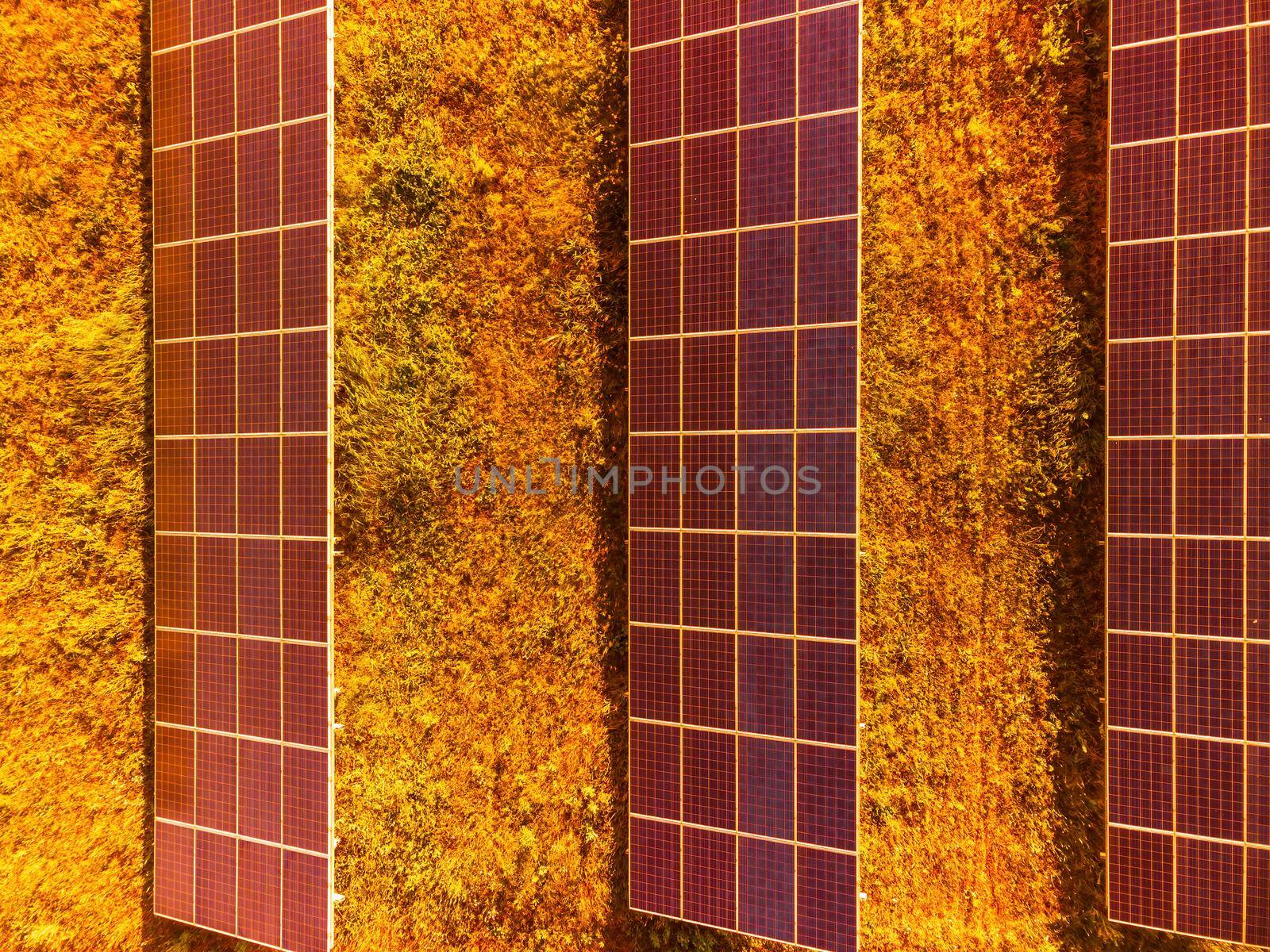 Aerial top view of a solar panels power plant. Photovoltaic solar panels at sunrise and sunset in countryside from above. Modern technology, climate care, earth saving, renewable energy concept