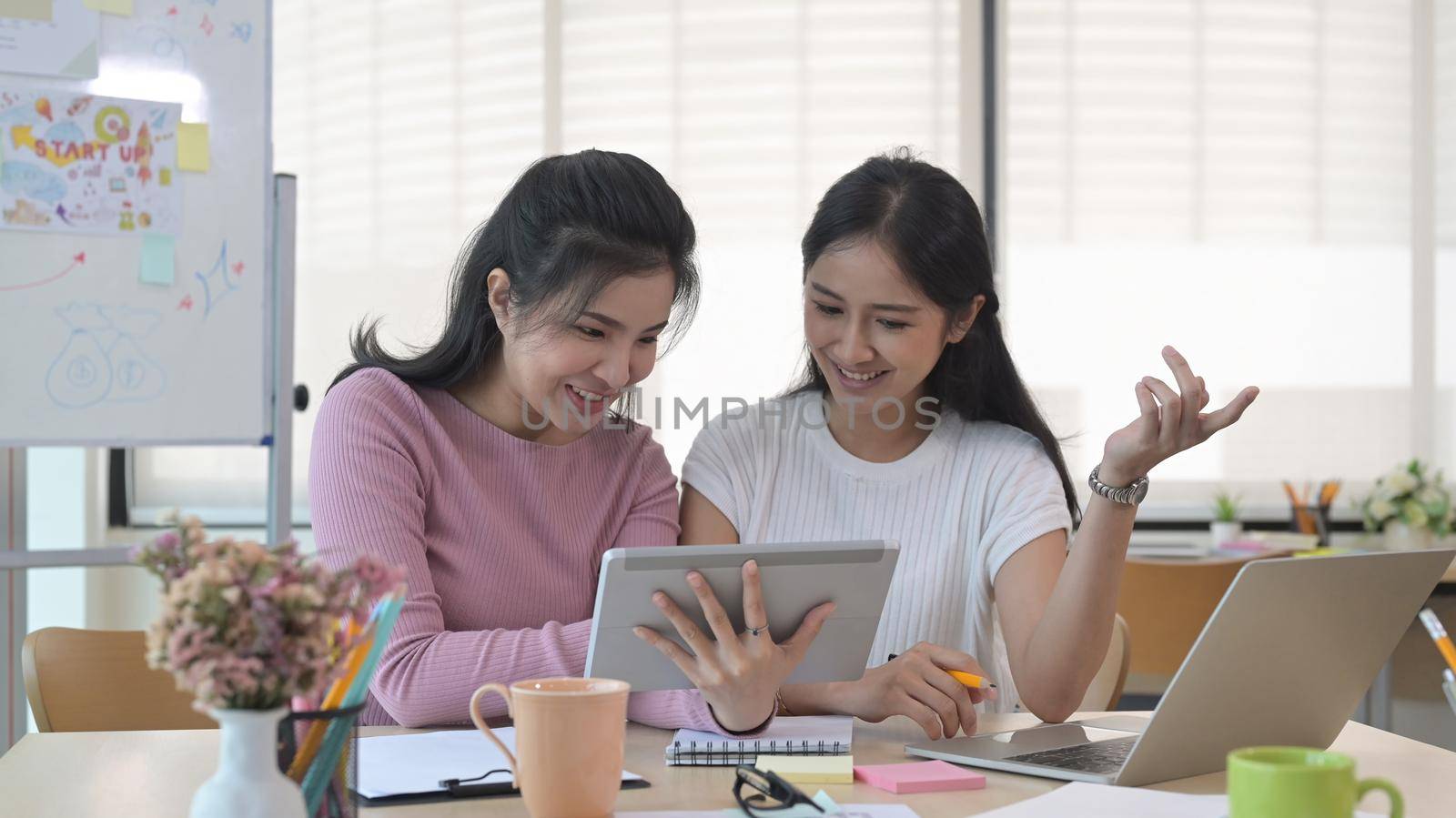 Two cheerful female start up business colleagues sharing information and discussing new project together.