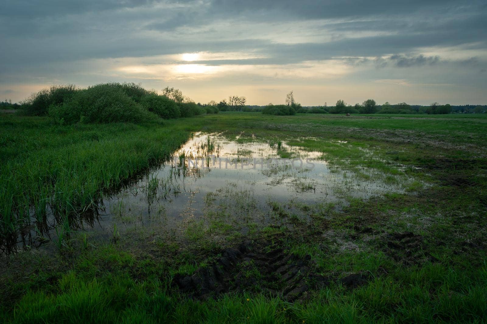 Rainwater in the field and evening clouds in the sky by darekb22