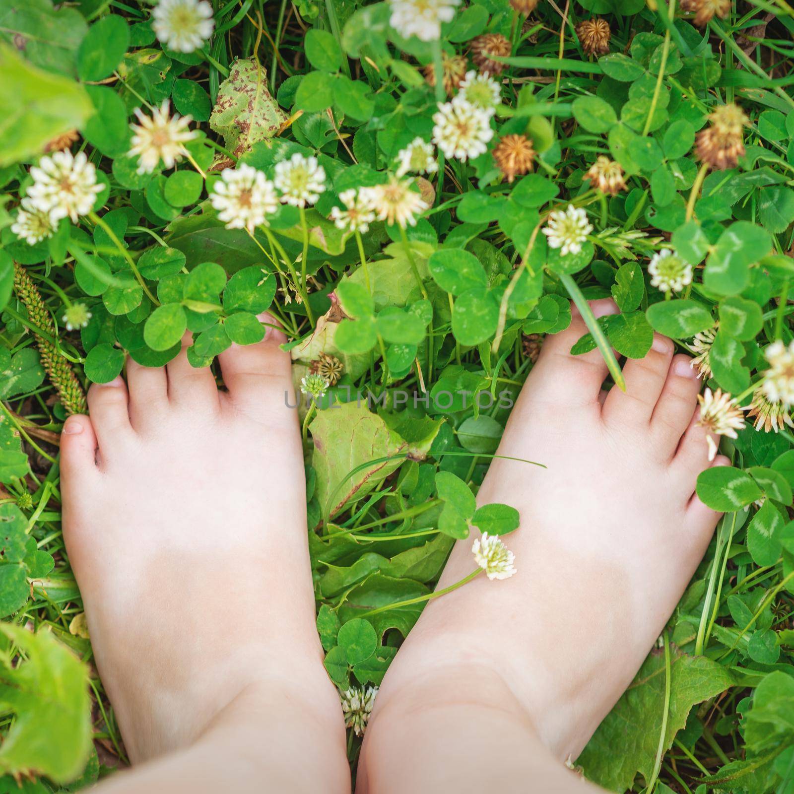 Baby feet barefoot on green grass by okskukuruza