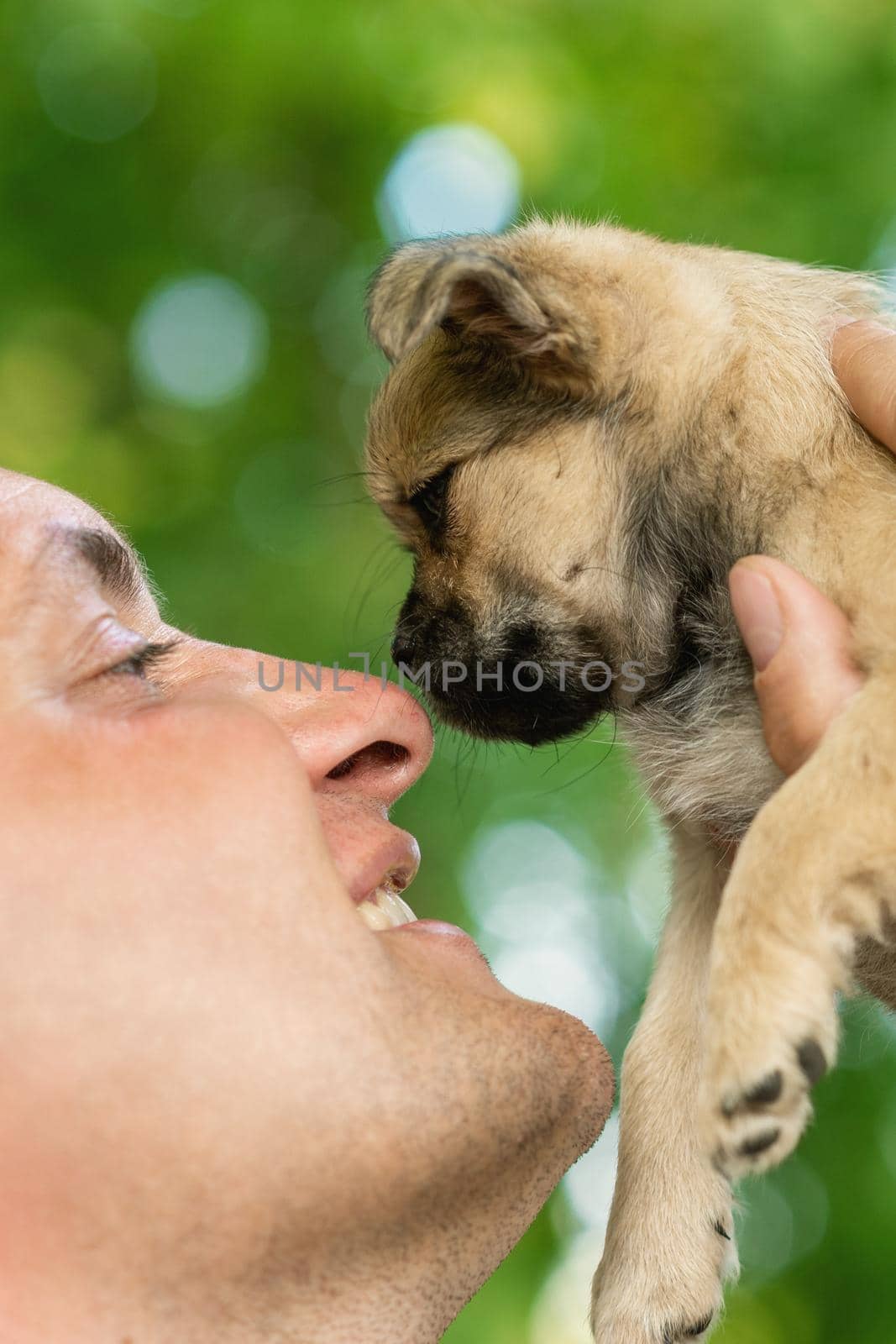 Happy young man touching nose of puppy by okskukuruza