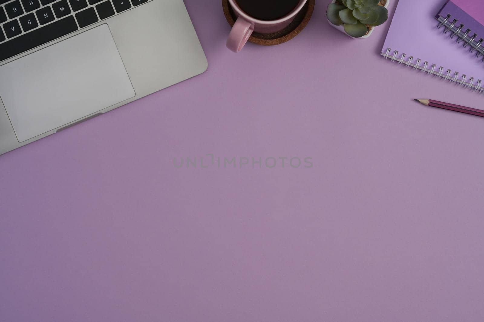 Top view computer laptop, notebook, succulent plants and coffee cup on purple background with copy space.