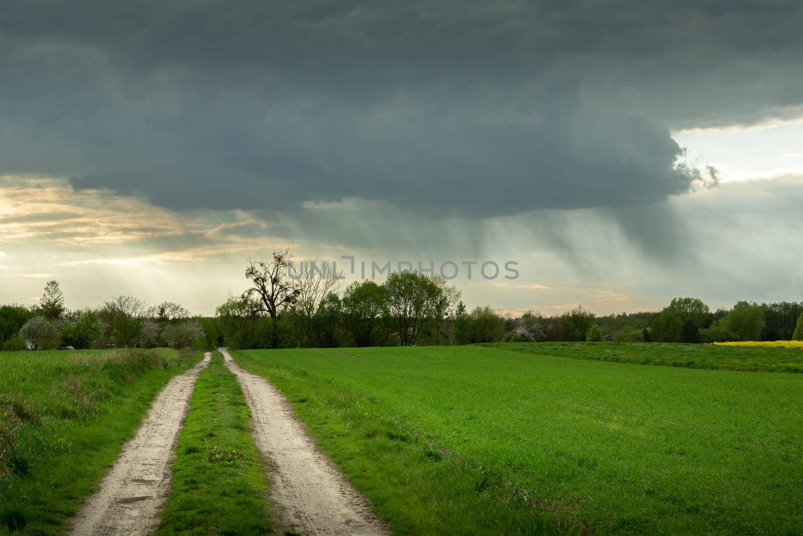 Dark rain cloud over the green field by the road, cloudy spring day
