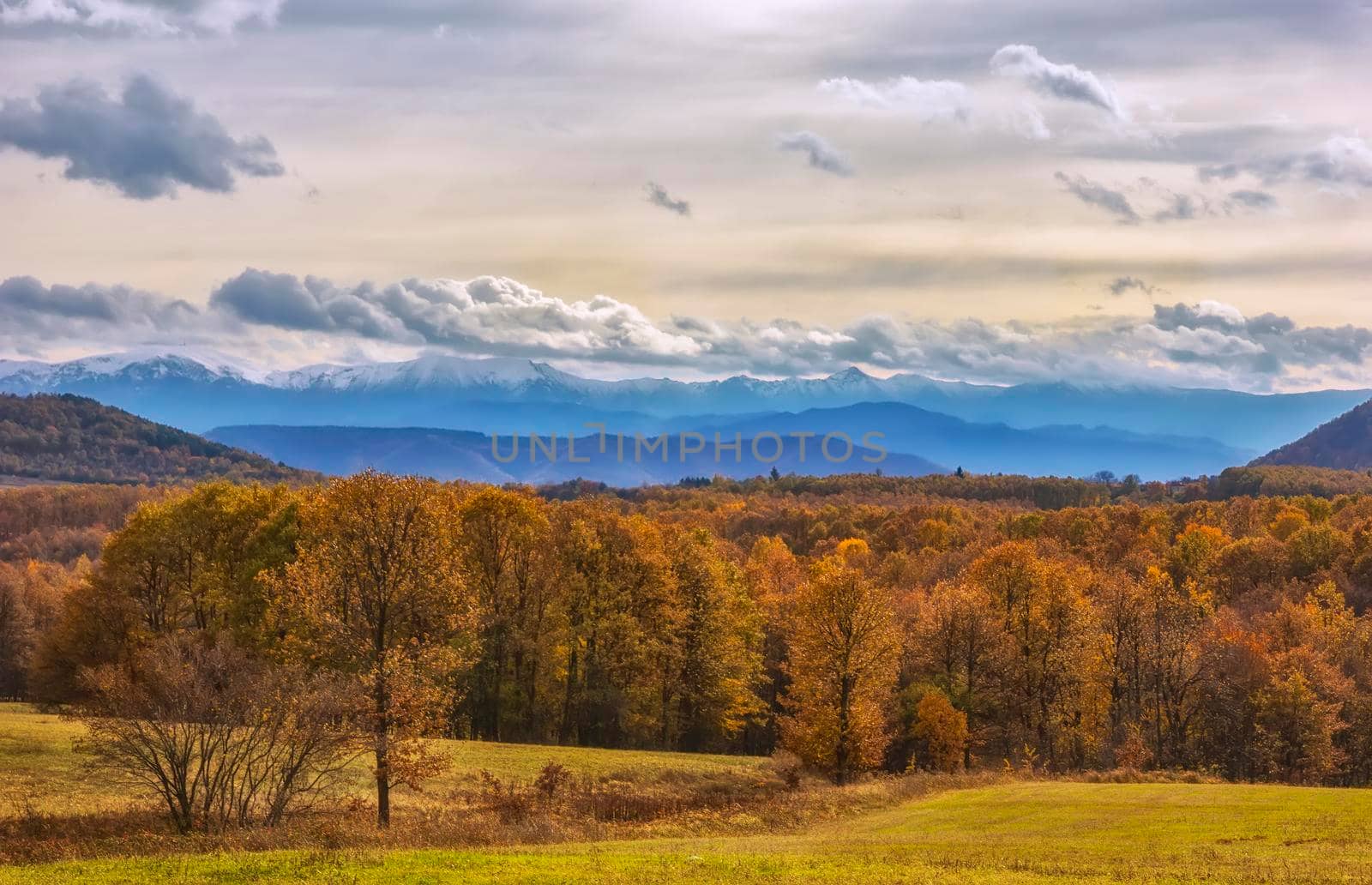 Beautiful landscape with colorful autumn trees with snowy mountains in the background. 