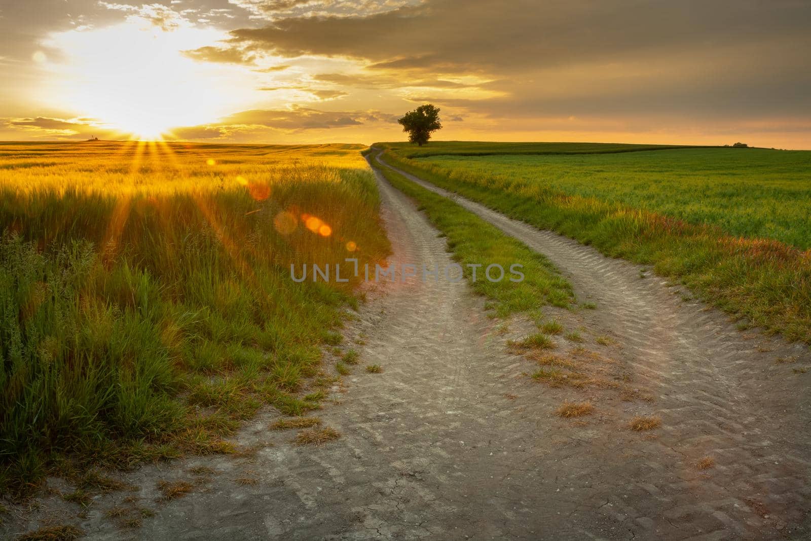 Beautiful rural landscape with sunset over the farmlands and long dirt road