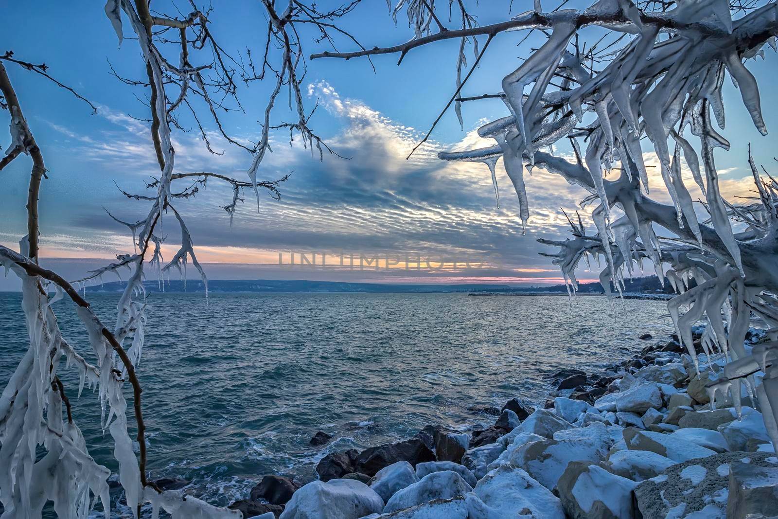 Sunrise/ sunset between icicles on tree branches frozen. Winter landscape 
