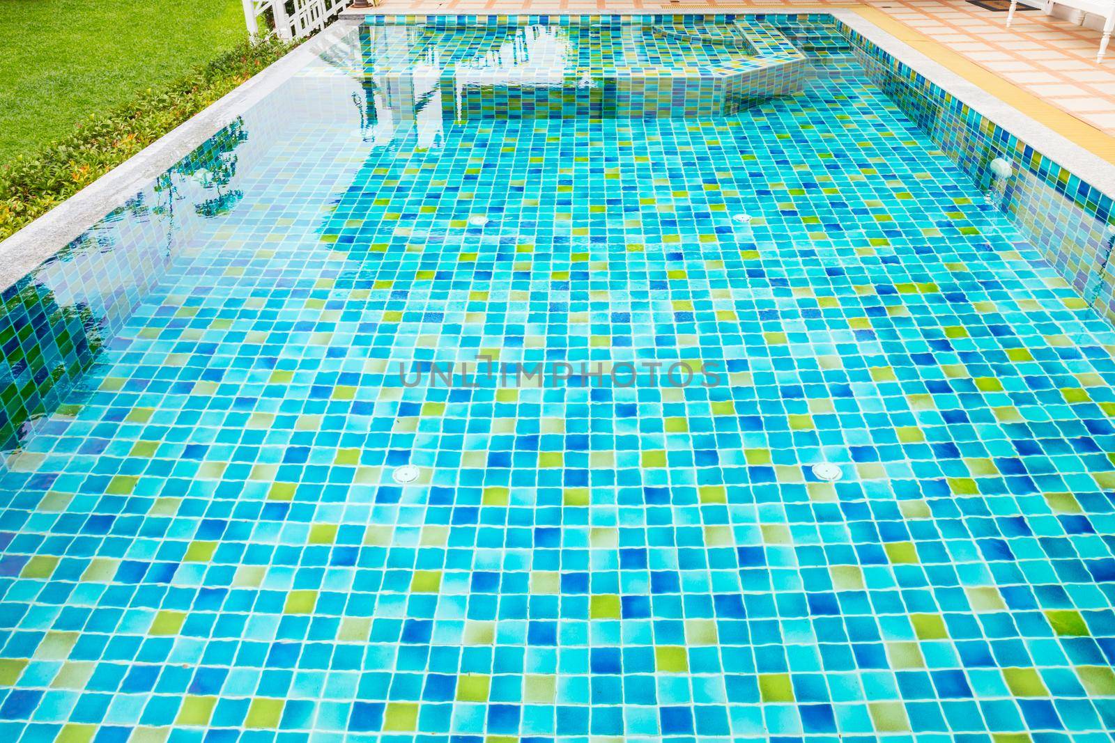 The Macro from Swimming pool with clear blue water in a garden area, surrounded by plants