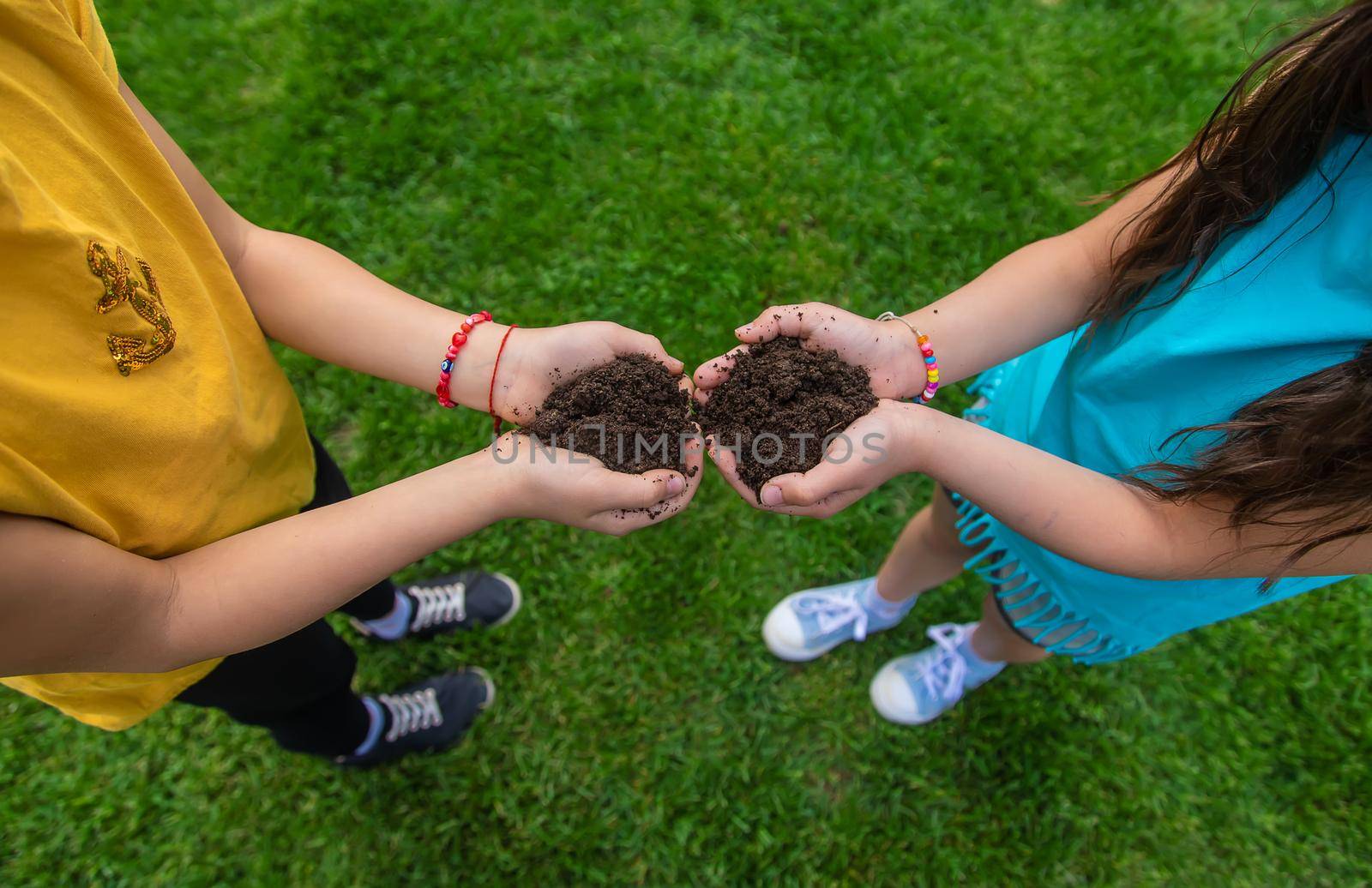 The child holds the soil in his hands. Selective focus. by yanadjana