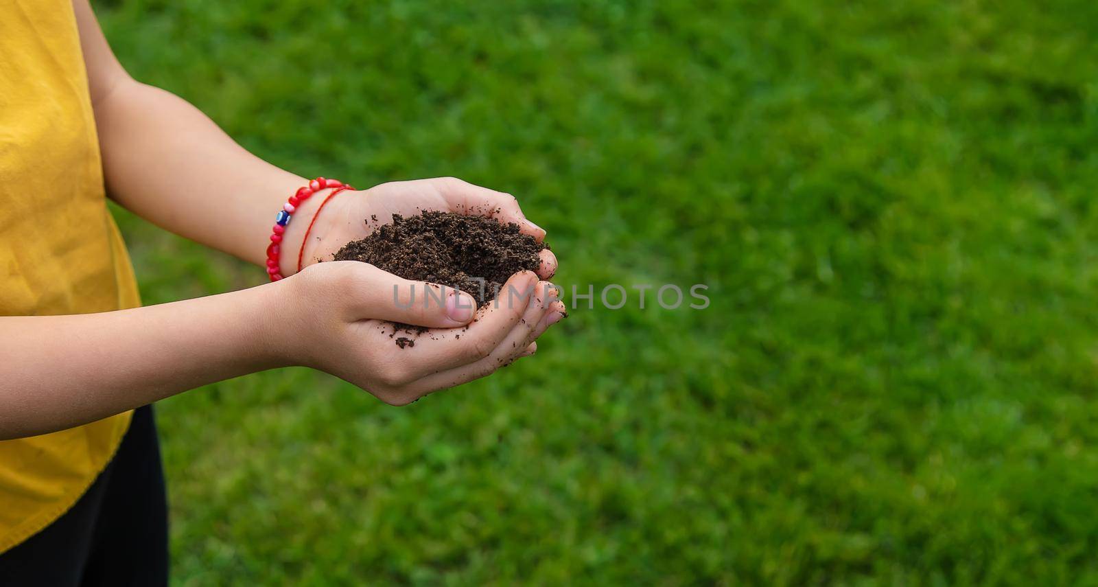 The child holds the soil in his hands. Selective focus. Kid.