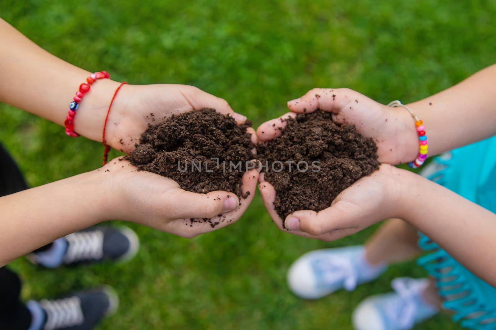 The child holds the soil in his hands. Selective focus. Kid.