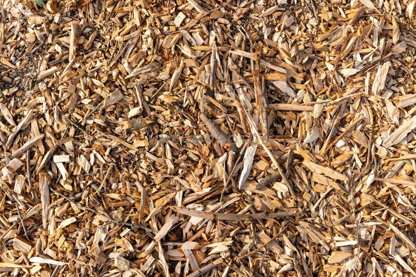 Wood Chips. Natural wood sawdust background. wood sawdust texture. by audiznam2609
