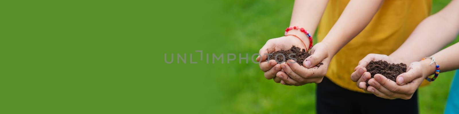 The child holds the soil in his hands. Selective focus. by yanadjana