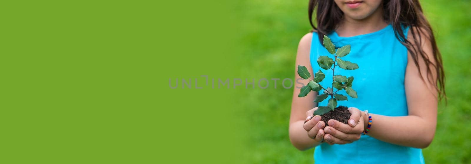 The child holds the plant and soil in his hands. Selective focus. Kid.