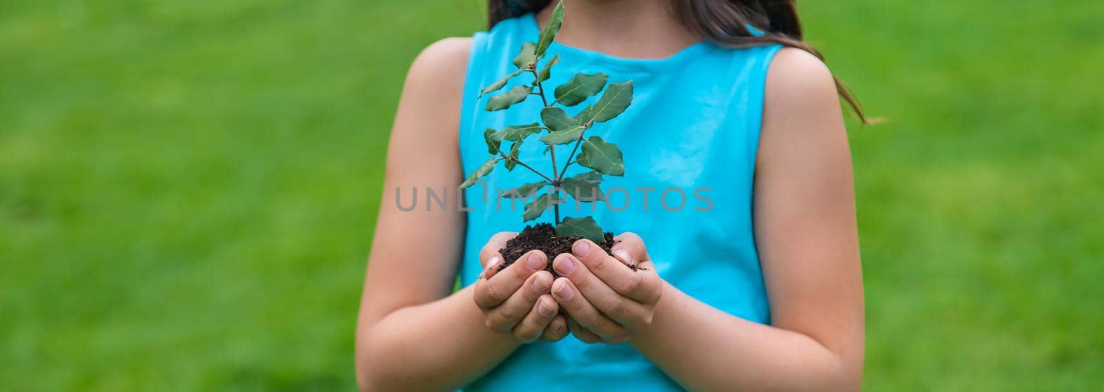 The child holds the plant and soil in his hands. Selective focus. by yanadjana