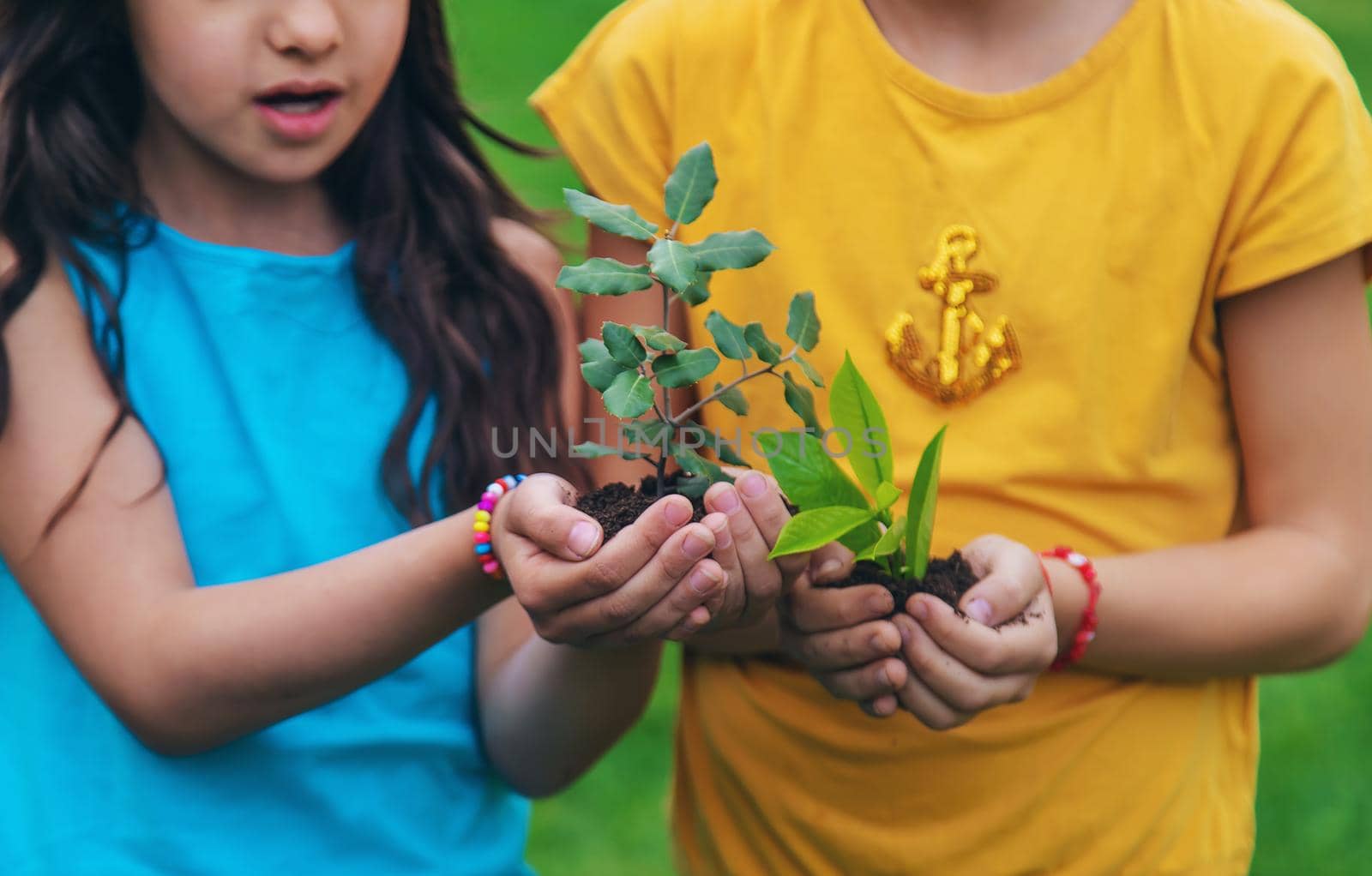 The child holds the plant and soil in his hands. Selective focus. by yanadjana