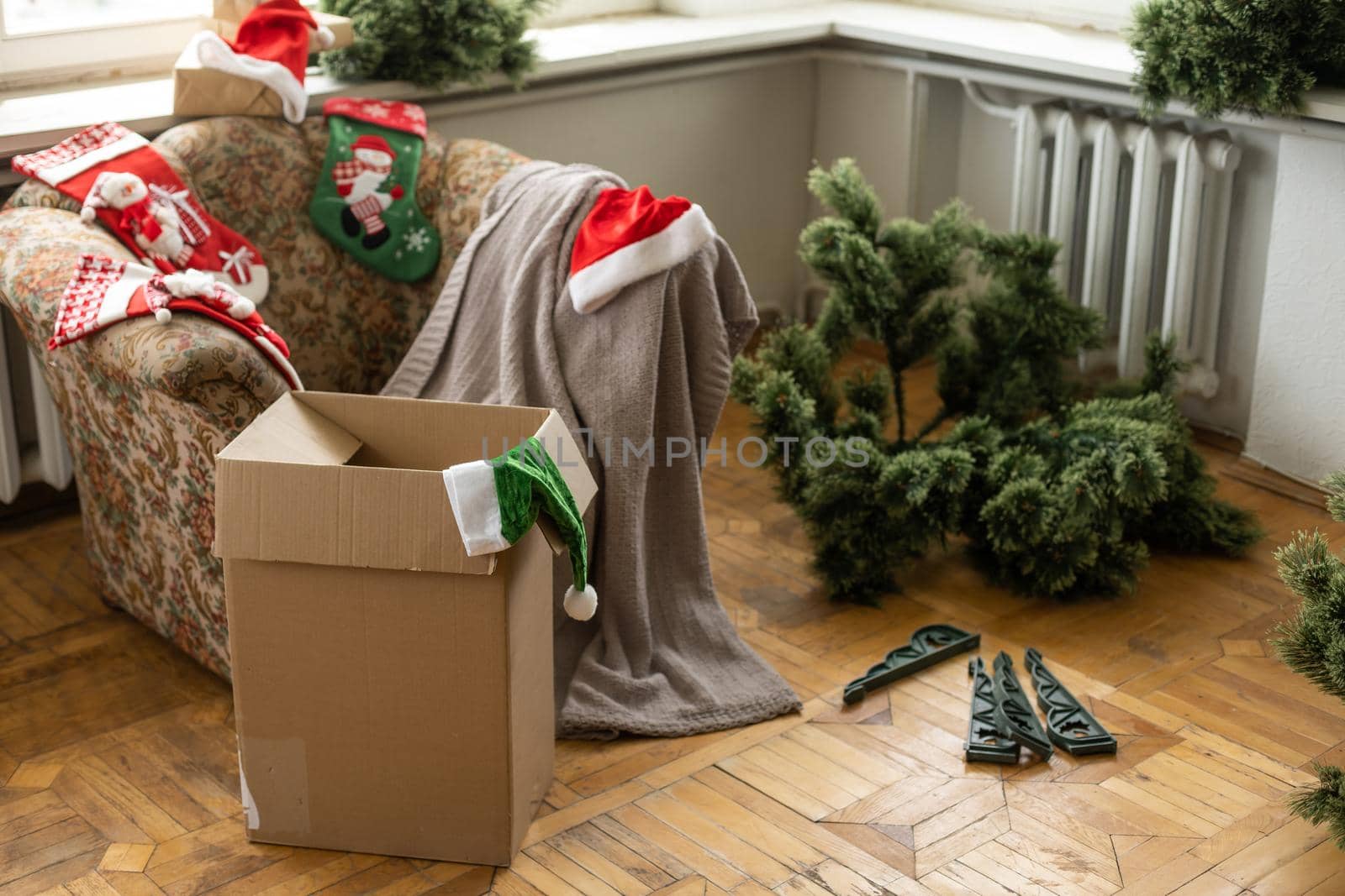 christmas preparation process, branches of christmas tree. Christmas preparations