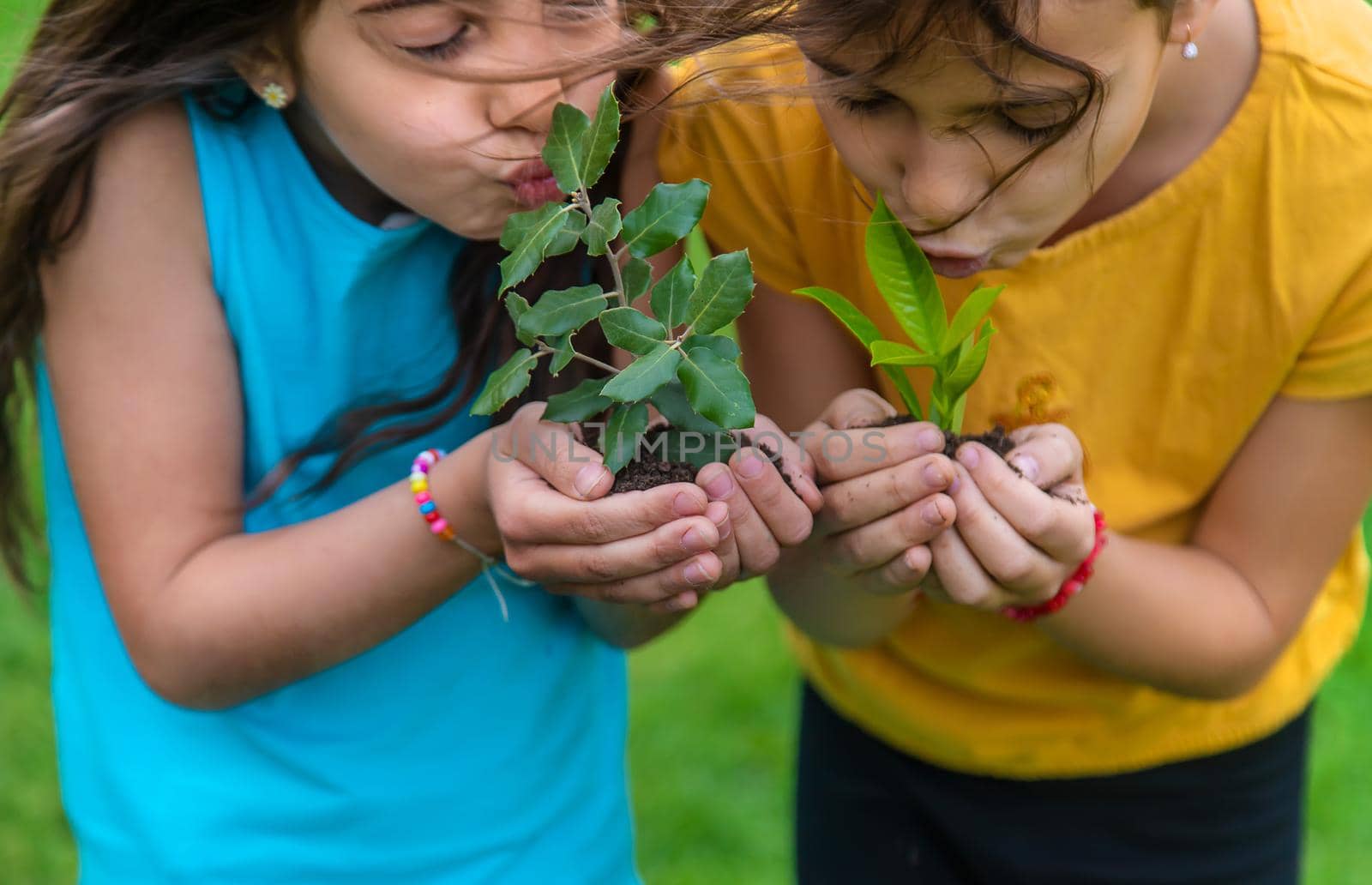 The child holds the plant and soil in his hands. Selective focus. Kid.