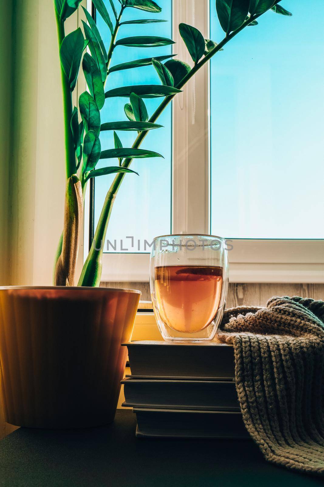 A cup of hot tea with lemon is on the windowsill on a pile of books, steam comes out of the cup. Yellow flower pot with green plant. Sunbeam by anna_stasiia