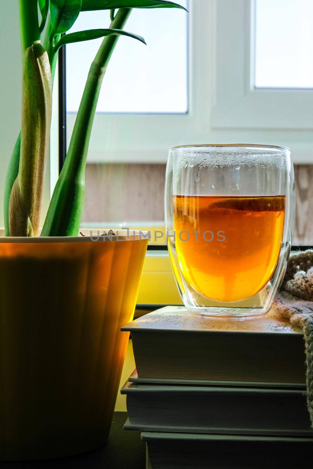 A cup of hot tea with lemon is on the windowsill on a pile of books, steam comes out of the cup. Yellow flower pot with green plant. Sunbeam by anna_stasiia