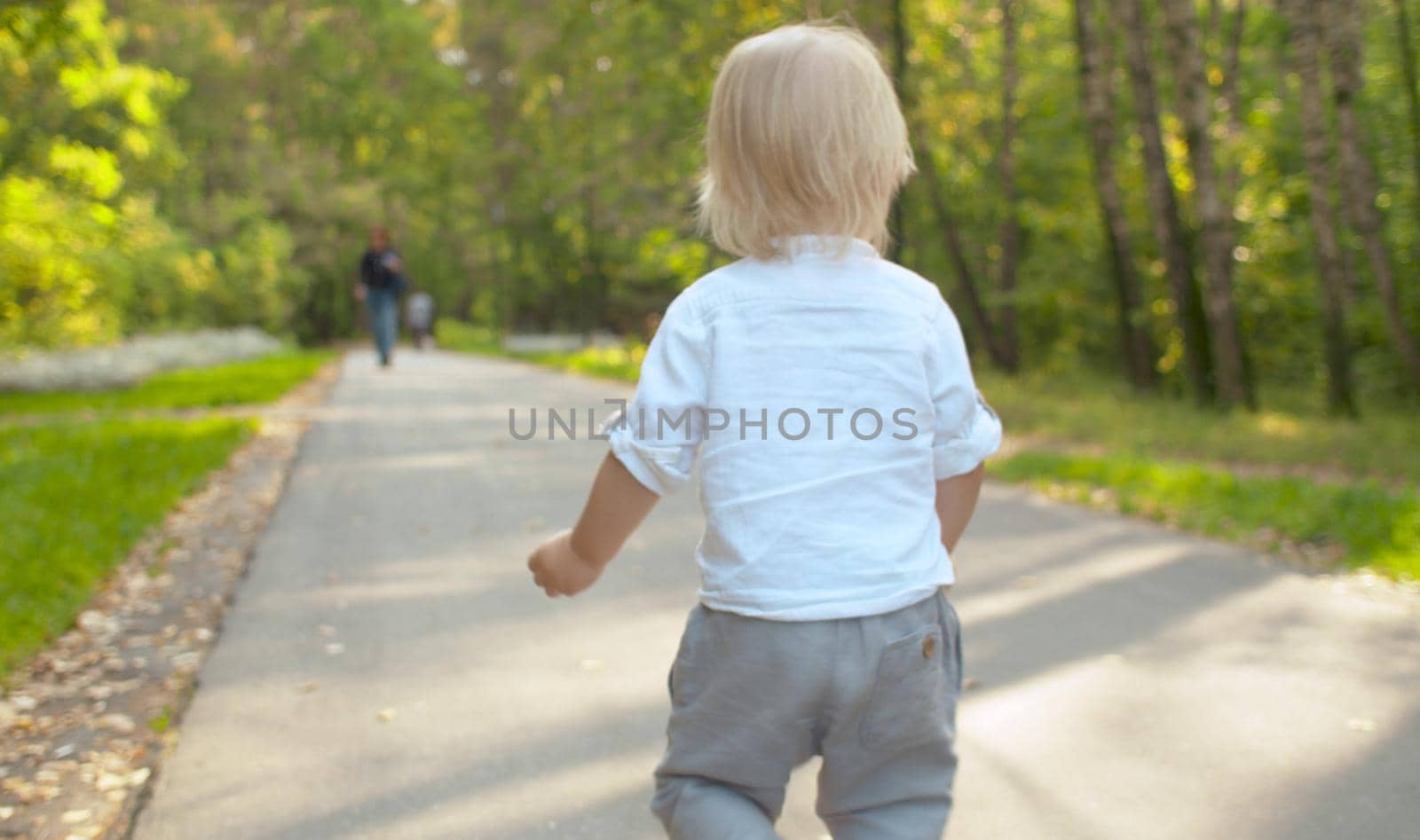 Cute toddler walking along the road in the park. Early autumn, yellow leaves on the road. Rear view