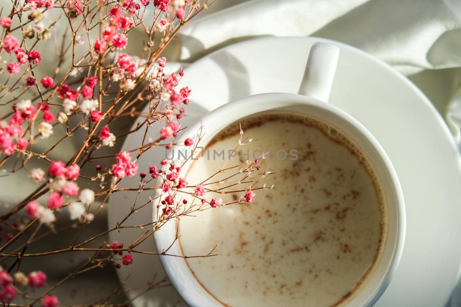 White cup of milk and chocolate. Morning aesthetics vibes. Breakfast. Pink gypsophila flowers. Hard shadows.