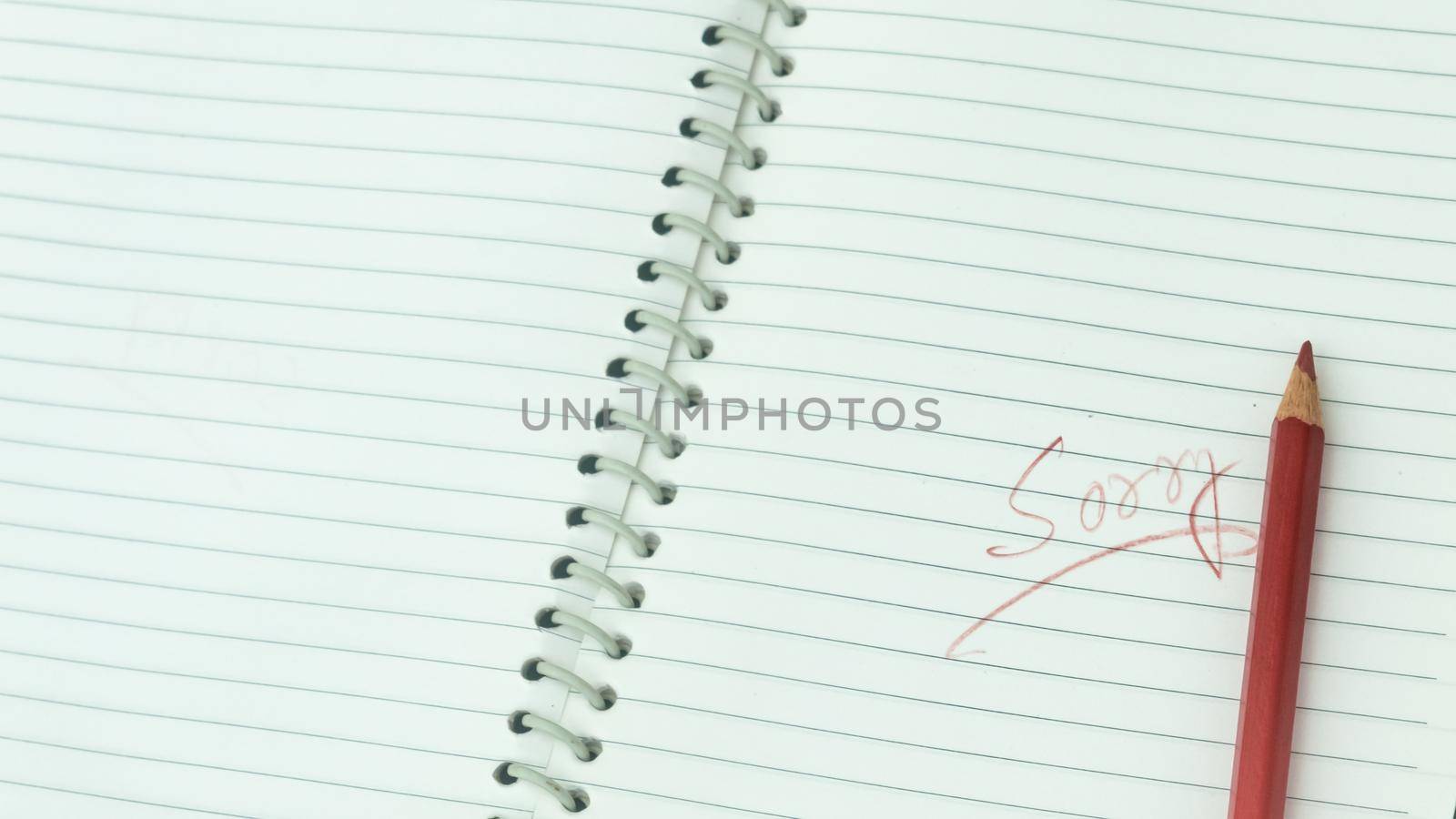 Sorry written on open notebook. Closeup. Mistake learning, blooper, regret sayings in love relationship friendship background. Feelings, apology, reconciliation, misunderstanding concept.
