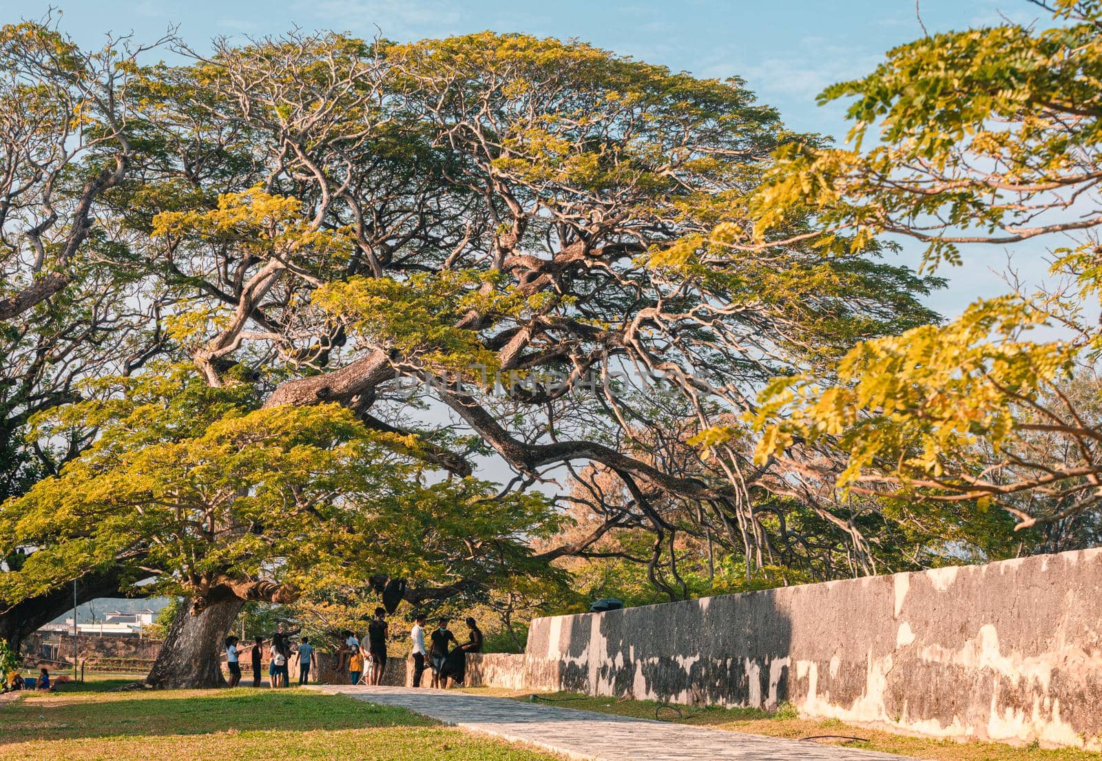 Galle, Southern Province, Sri Lanka - 02 12 2021: People are relaxing in the parks and streets of Galle fort in the evening, historic and beautiful travel destination for the tourists.