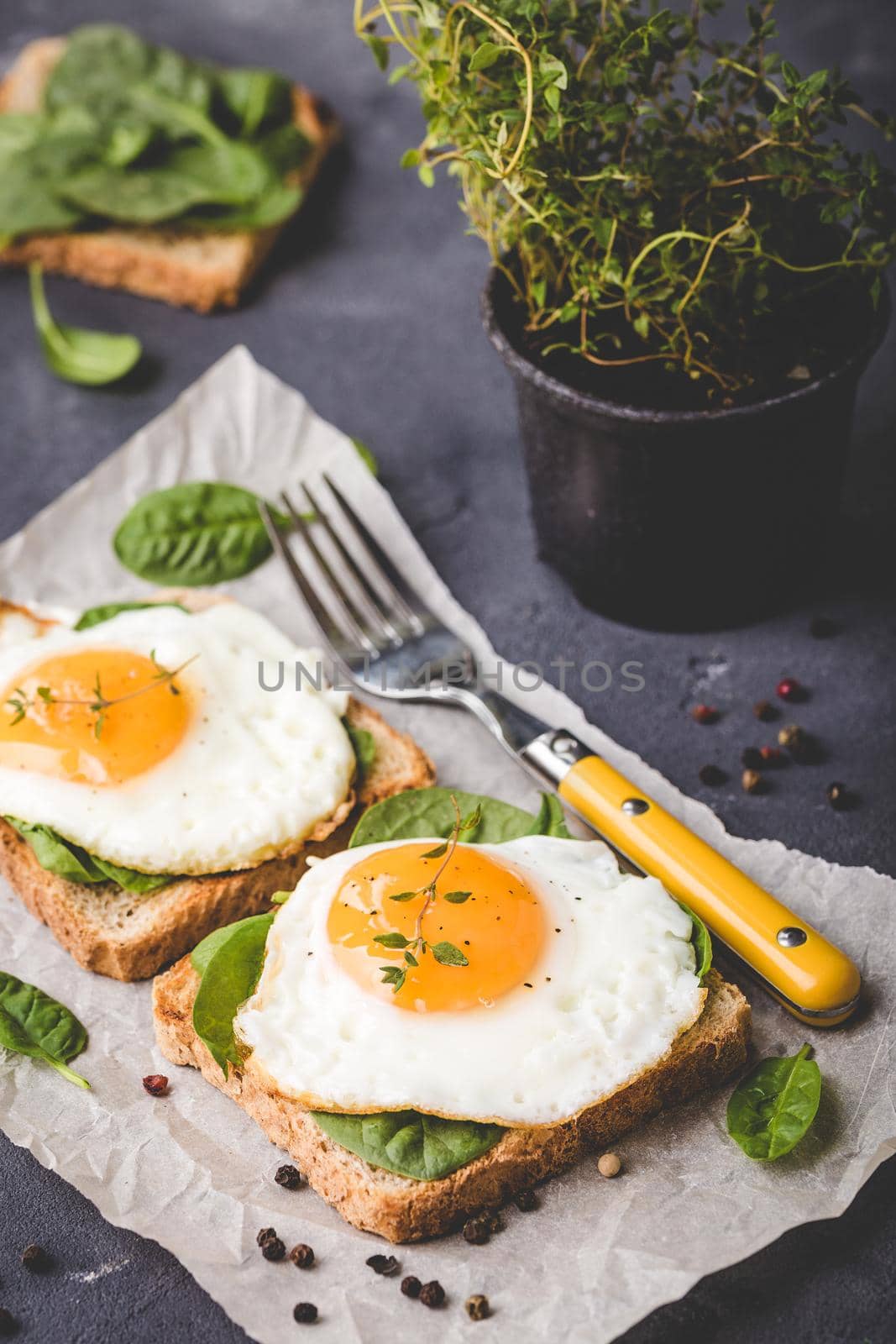 Healthy sandwich with wholegrain toast, fried egg, fresh spinach, thyme on rustic stone background. Egg sandwich for morning breakfast. Clean healthy eating concept. Vegetarian lunch/snack. Close-up