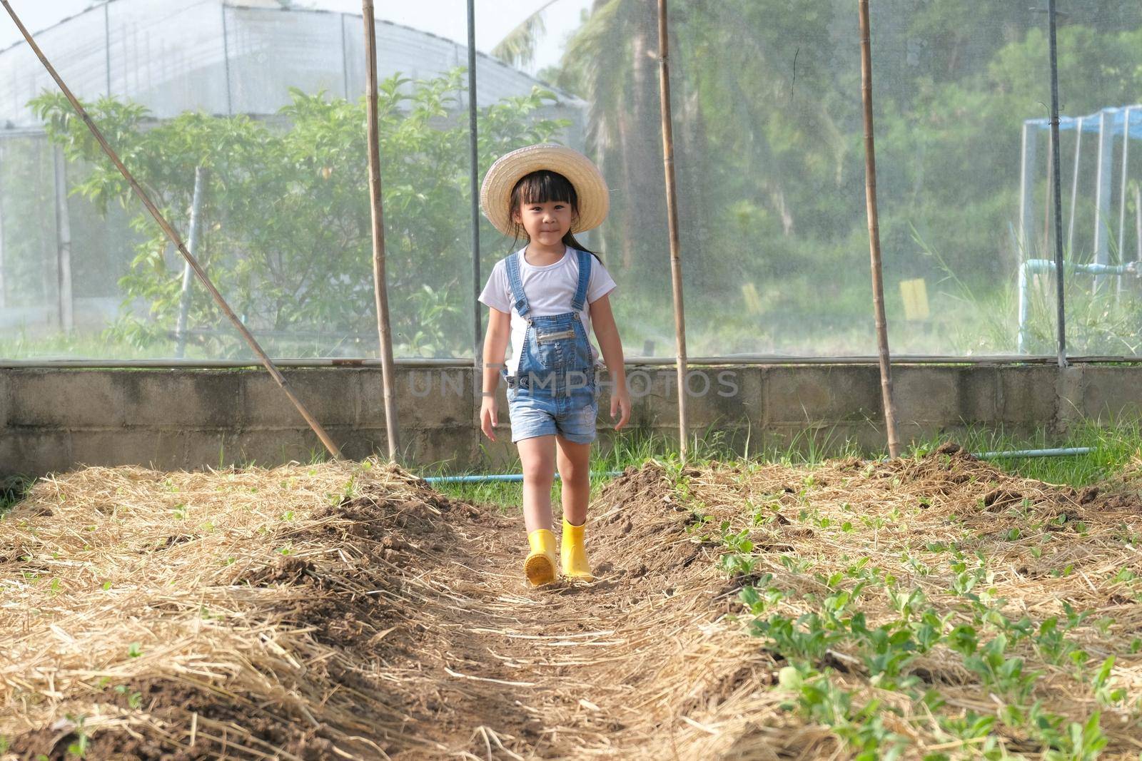 Little girl wearing a hat helps her mother in the garden, a little gardener. Cute girl playing in the vegetable garden. by TEERASAK