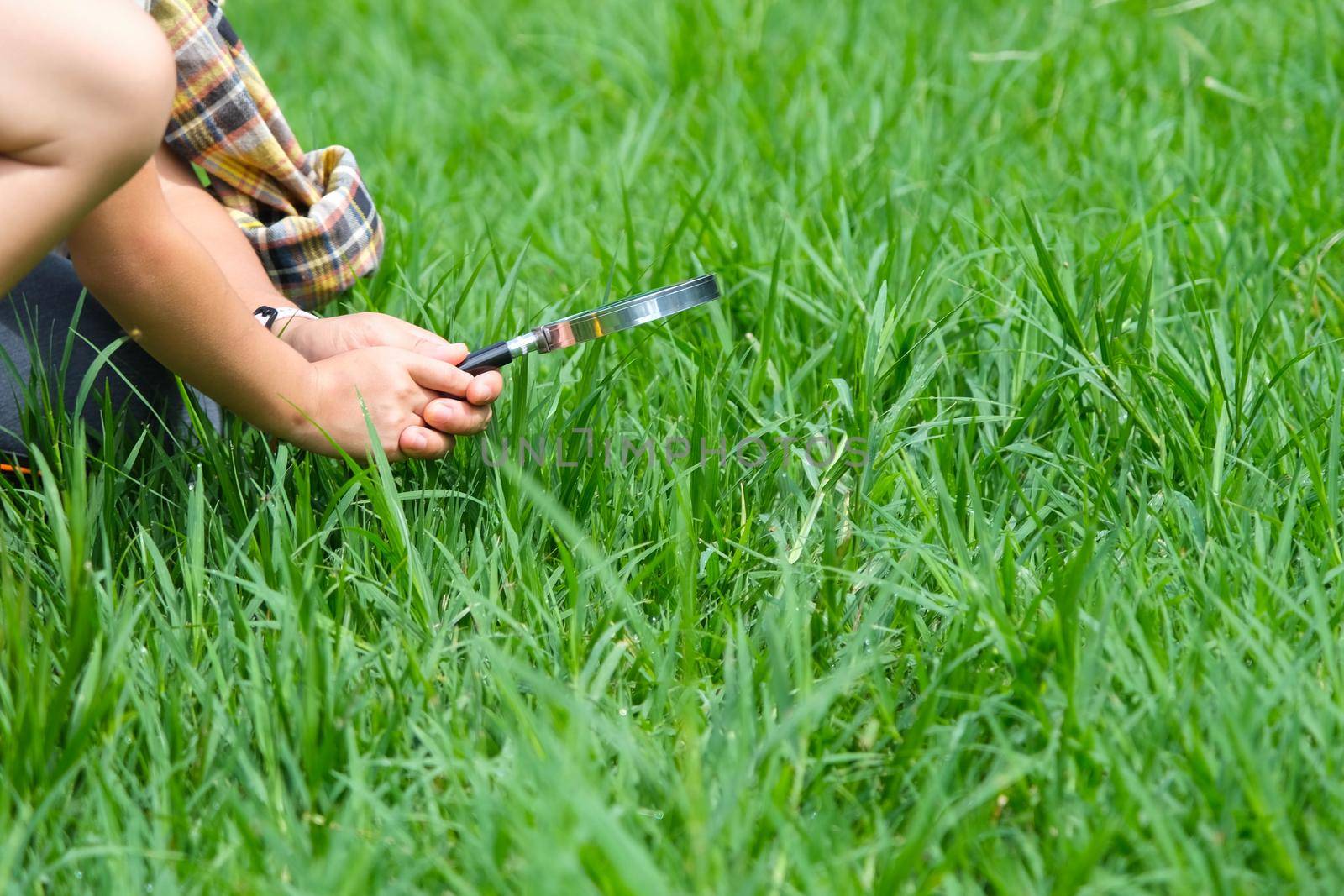 Cute little girl learning and exploring nature with outdoor magnifying glass. Curious child looks through a magnifying glass at a tree in the park. Little girl playing with a magnifying glass.