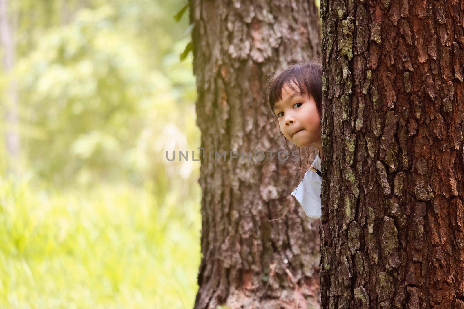 Smiling little girl standing behind a tree and looking at the camera. Adorable child having fun outdoors in the park. Childhood concept