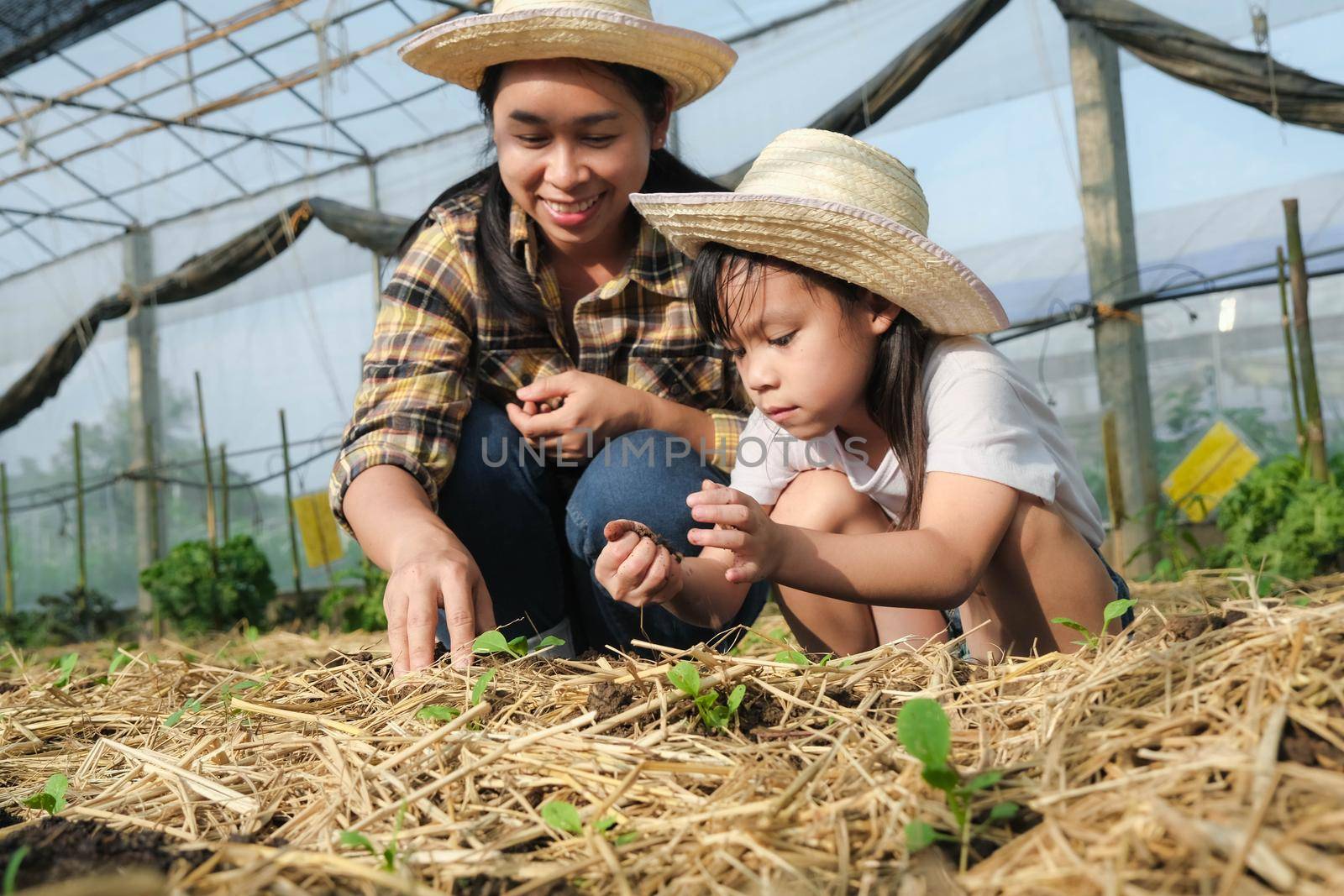 Little girl wearing a hat helps her mother in the garden, a little gardener. Cute girl planting vegetables in the garden. by TEERASAK