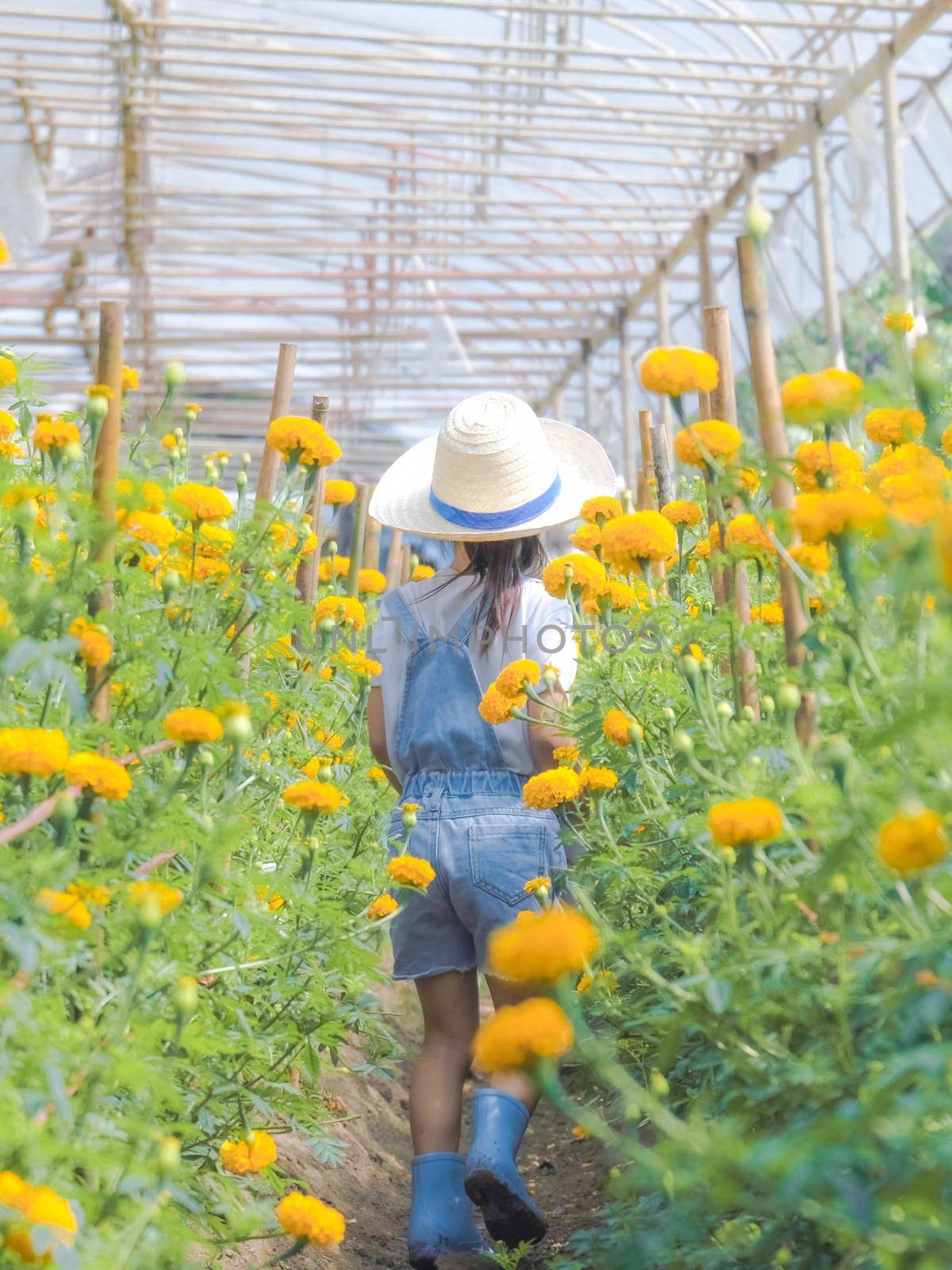 Little girl wearing a hat helps her mother in the marigold garden, a little gardener. Cute girl playing in a beautiful flower garden.