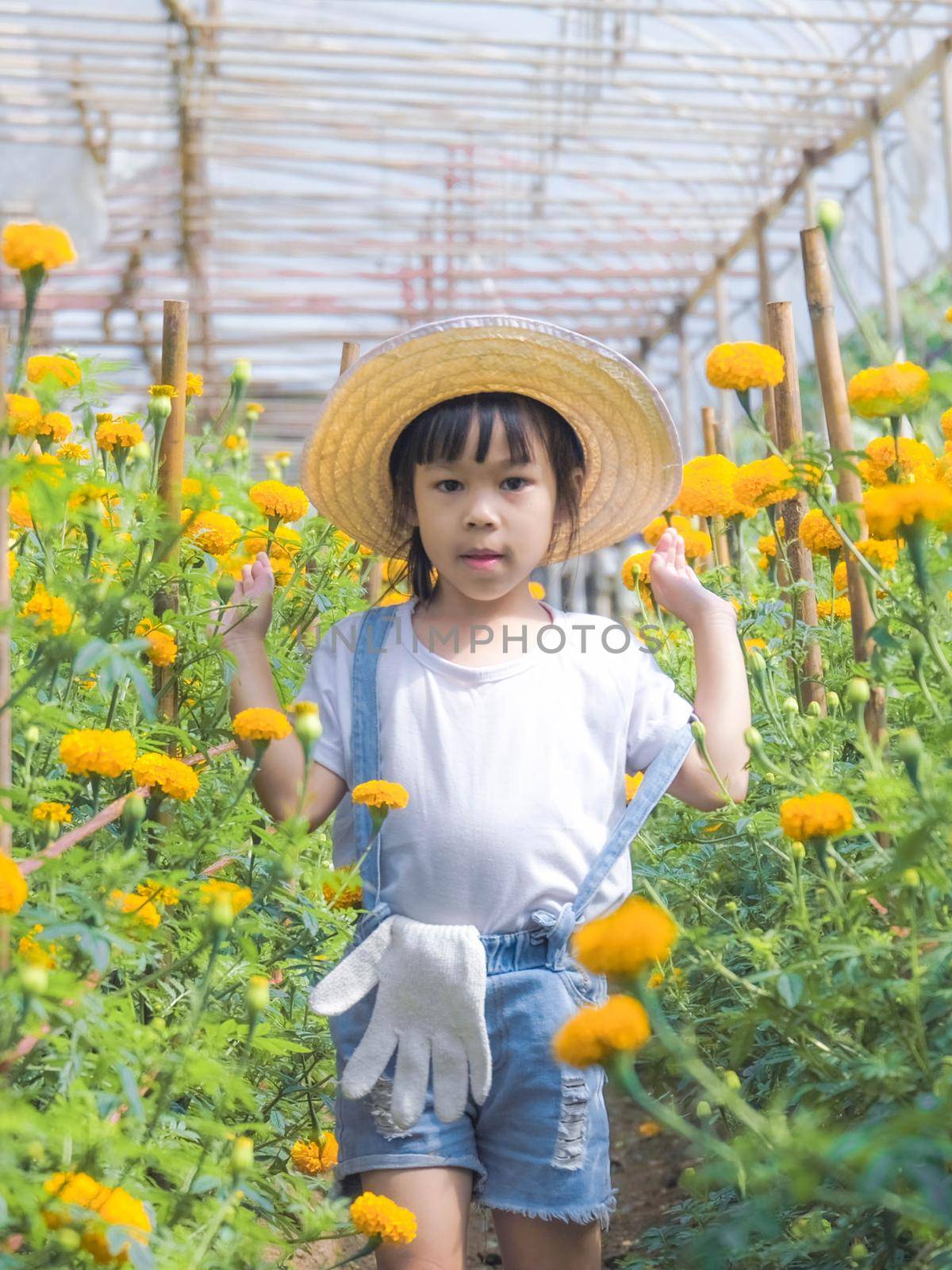 Little girl wearing a hat helps her mother in the marigold garden, a little gardener. Cute girl playing in a beautiful flower garden.
