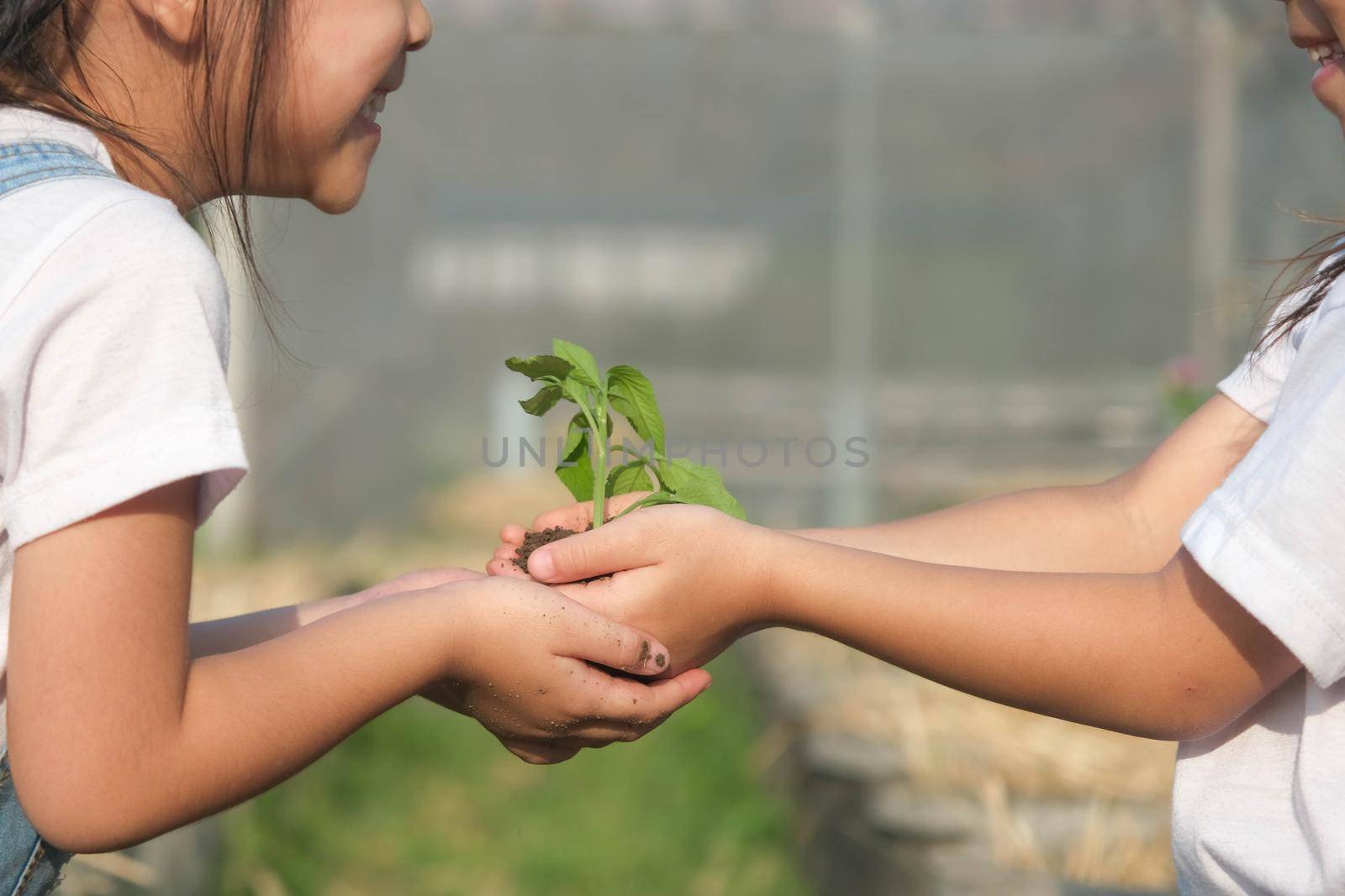 Two little sisters holding young plant in their hands against spring green background. Ecology concept. world environment day by TEERASAK