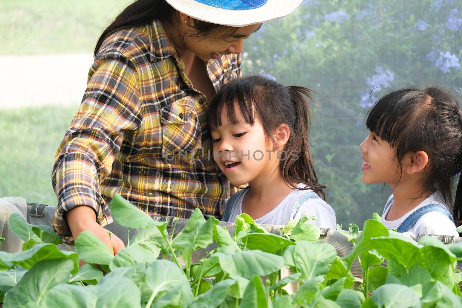 Young mother in straw hat teaching her daughters in backyard garden. Little girl helps her mother in the garden, a little gardener. Cute girl planting vegetables in the garden. by TEERASAK