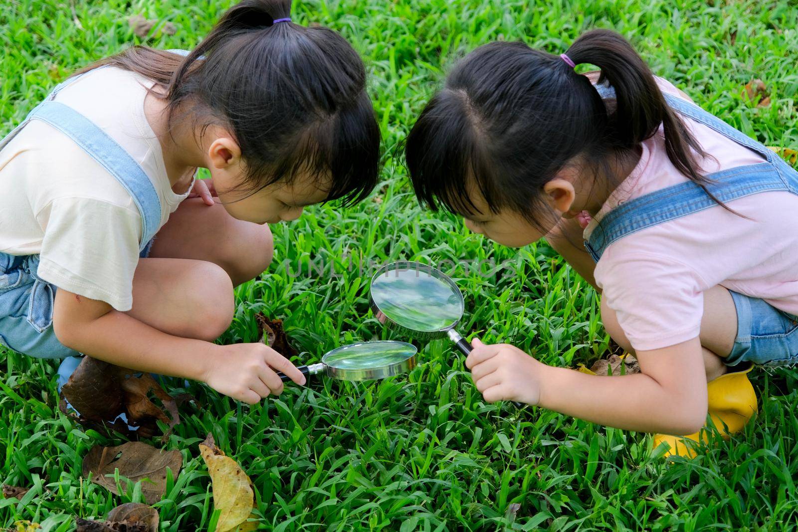 Children learn and explore nature with an outdoor magnifying glass. Curious child looks through a magnifying glass at the trees in the park.  Two little sisters playing with magnifying glass.