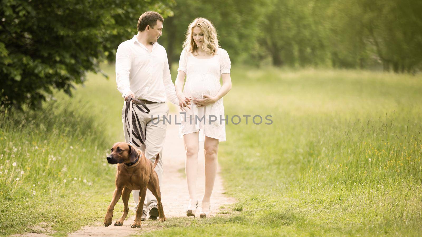 happy couple future parents on the walk with the dog the Park