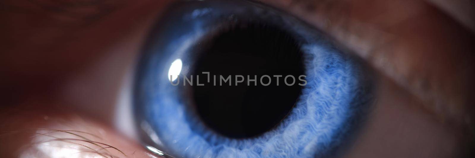 Closeup of beautiful bright blue human eye by kuprevich