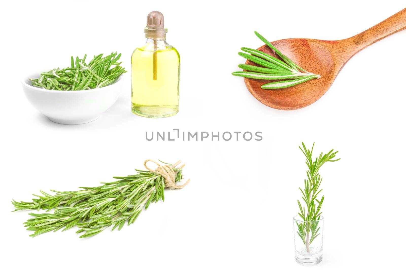 Collage of rosemary isolated on a white cutout