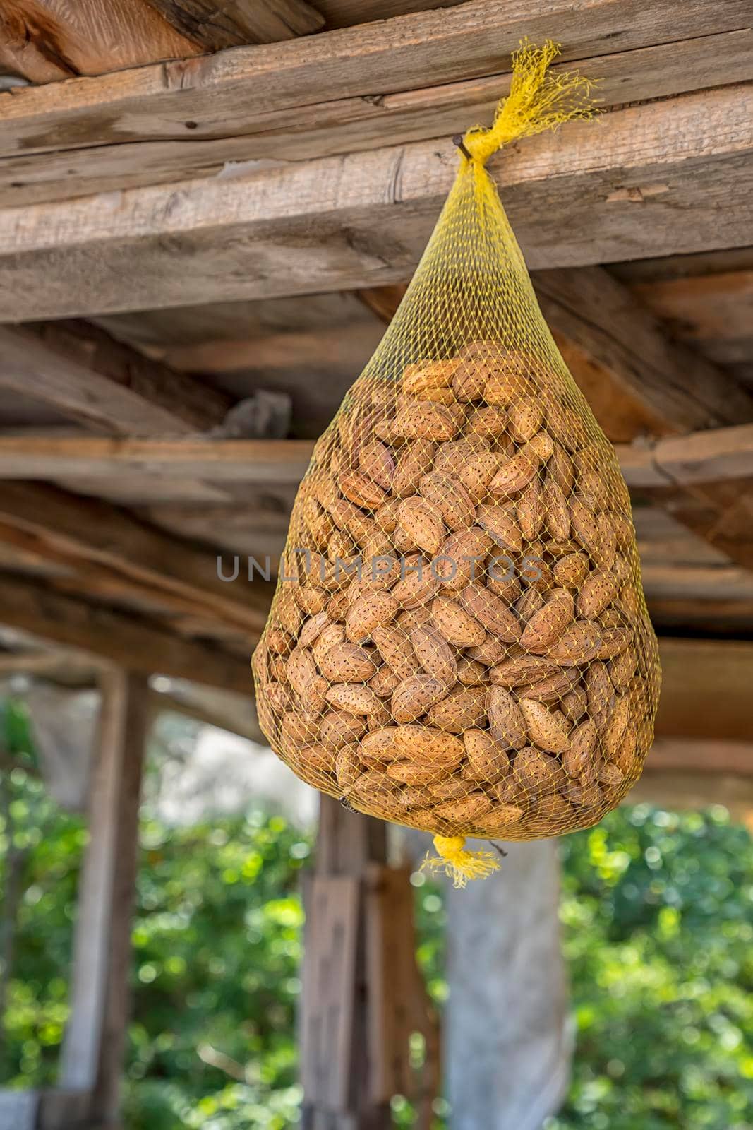 Hanging almond in nylon net bag at a market by EdVal