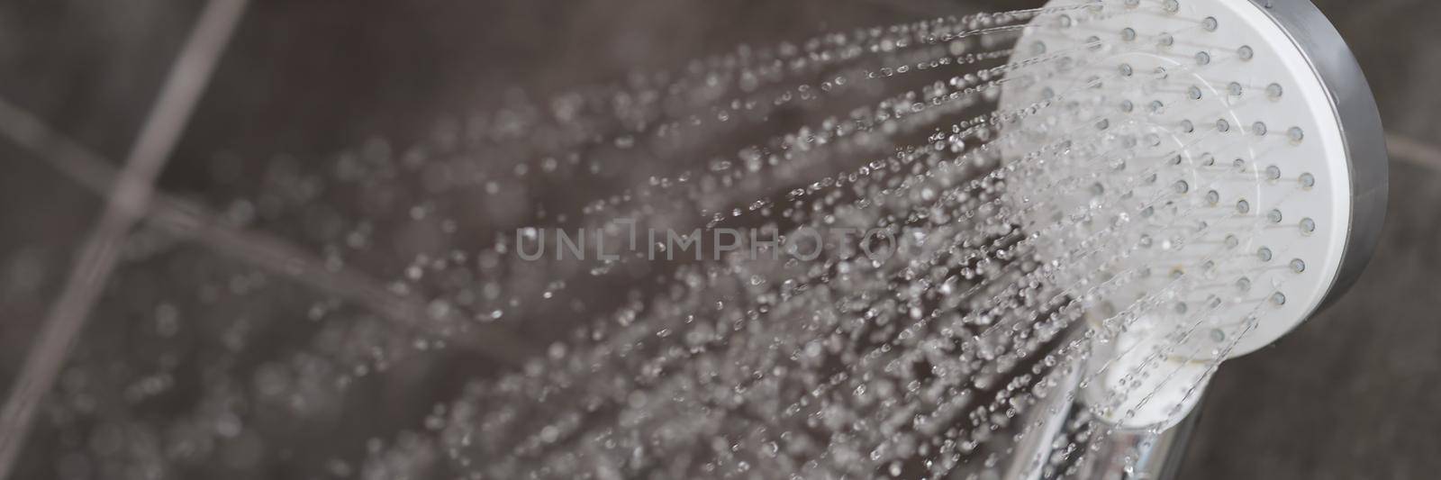 A stream of water is pouring from the shower head, close-up. Plumbing in the bathroom, clean water