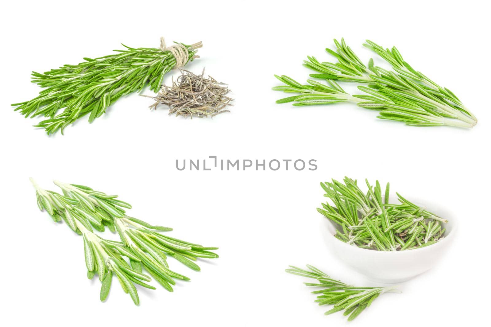 Collage of rosemarie isolated on a white background with clipping path